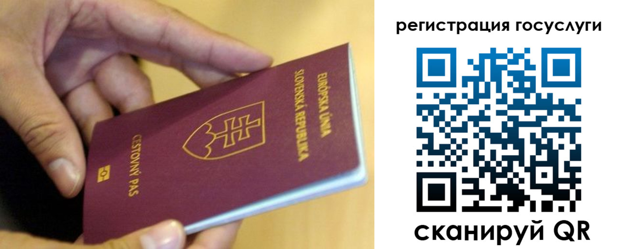 прописка в квартире в Новошахтинске